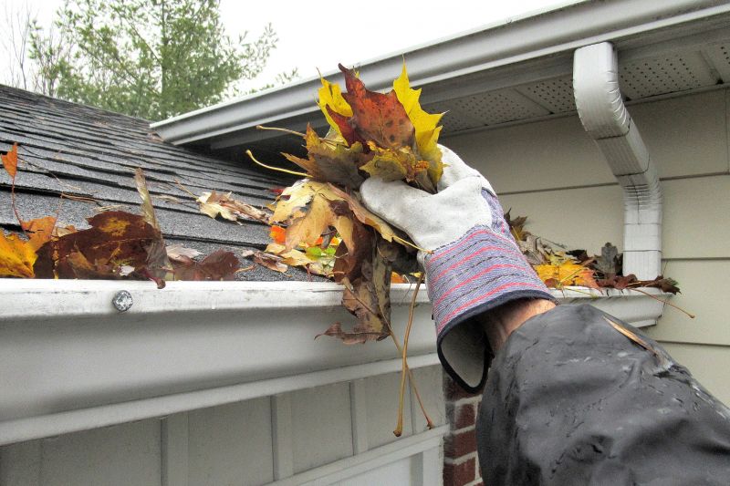 Gutter Service
